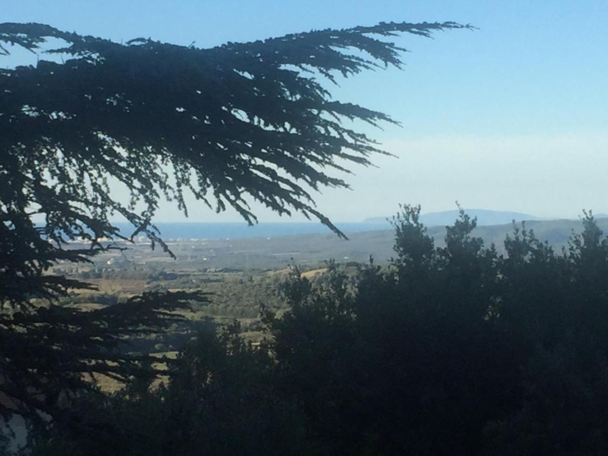 Villa Degli Ulivi Massa Marittima Εξωτερικό φωτογραφία