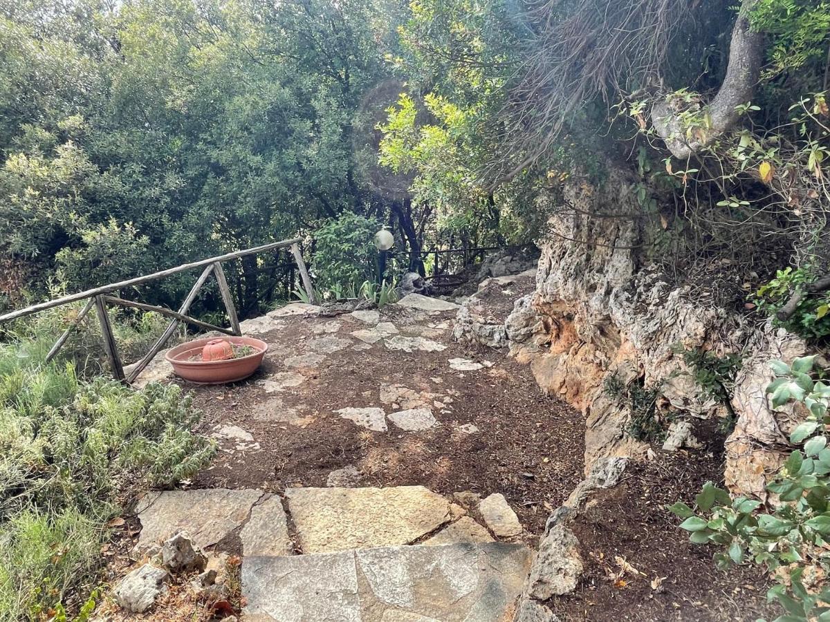 Villa Degli Ulivi Massa Marittima Εξωτερικό φωτογραφία
