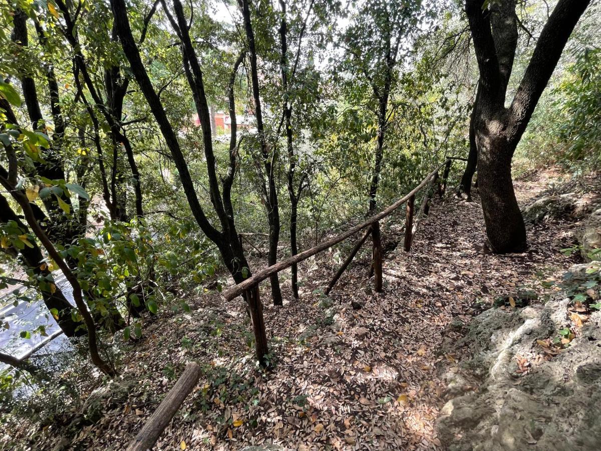 Villa Degli Ulivi Massa Marittima Εξωτερικό φωτογραφία