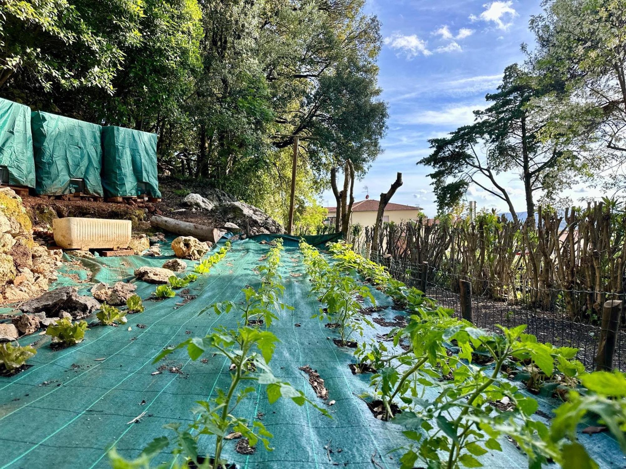 Villa Degli Ulivi Massa Marittima Εξωτερικό φωτογραφία